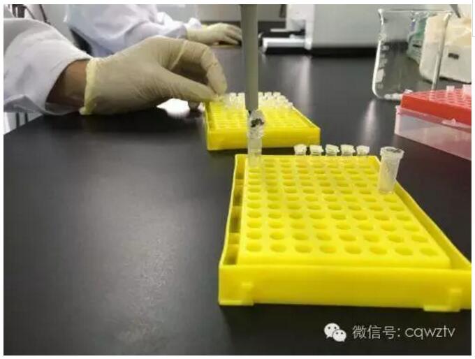 亲子鉴定不用去重庆了！库区DNA司法鉴定实验室在万州建