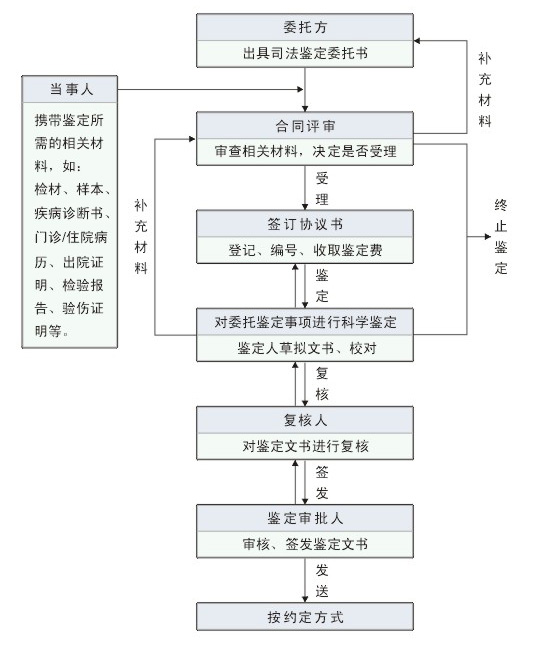 鉴定流程